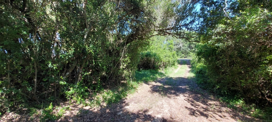 Commercial Property for Sale in Gamtoos Mouth Eastern Cape